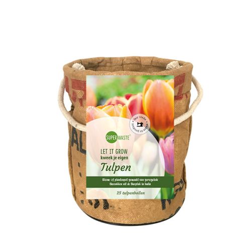 Grow bag with 25 tulip bulbs - Image 2